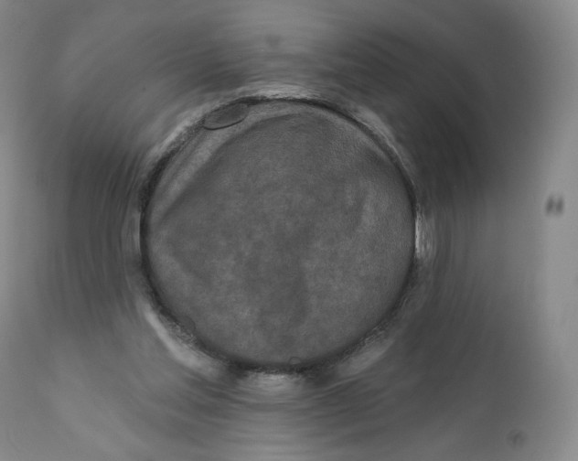 X0000111890205200908201329