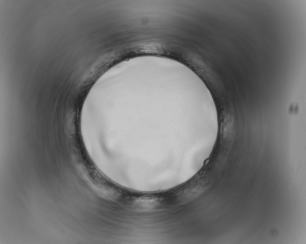 X0000111890213200908201329