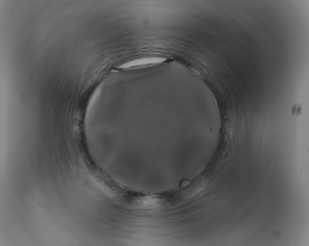 X0000111890219200908201329