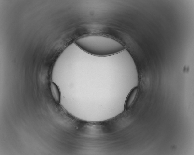 X0000111890221200908201329