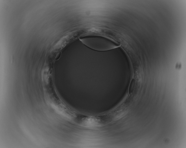 X0000111890223200908201329