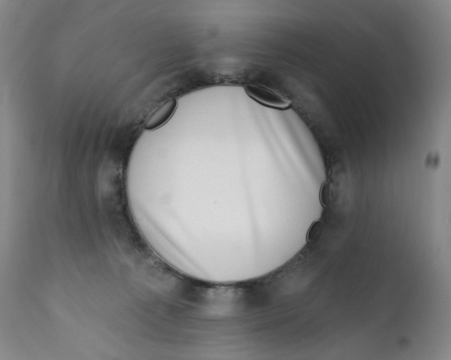 X0000111890225200908201329