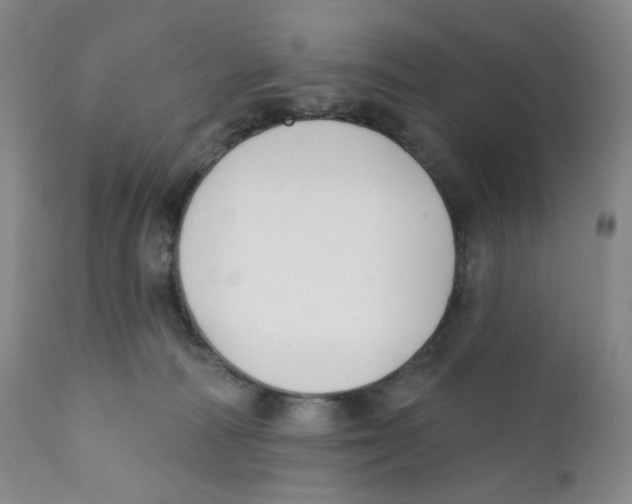 X0000111890226200908201329