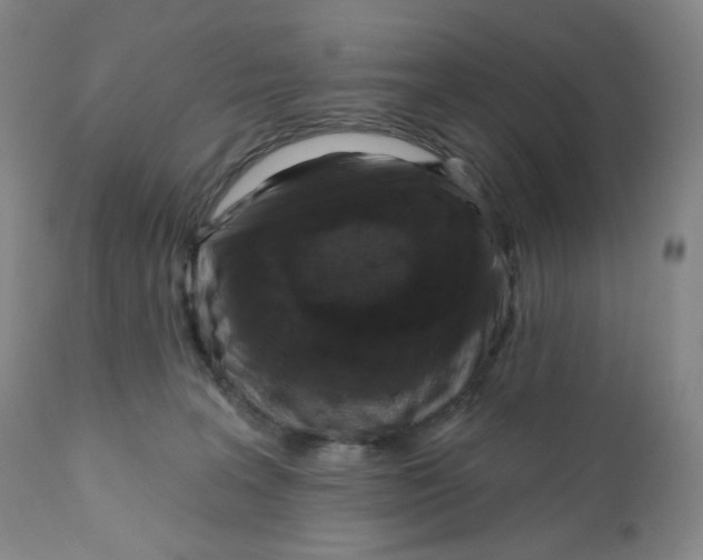 X0000111890227200908201329