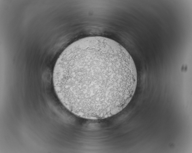 X0000111890228200908201329