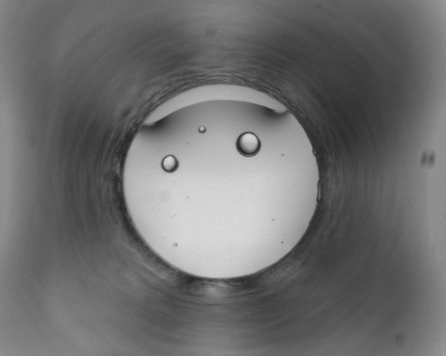 X0000111890229200908201329