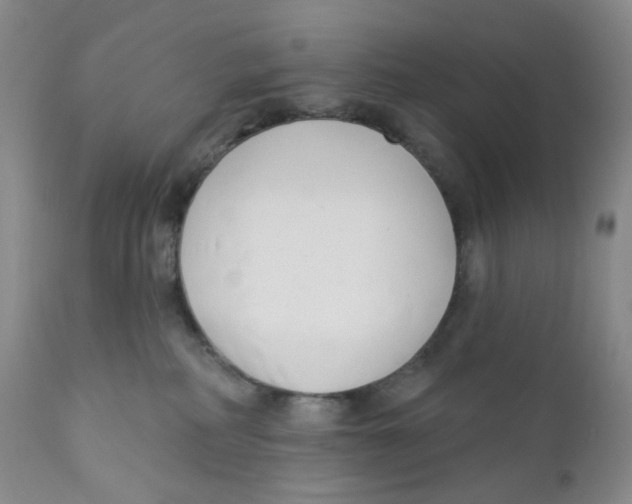 X0000111890234200908201329