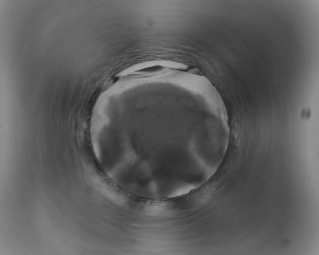 X0000111890235200908201329