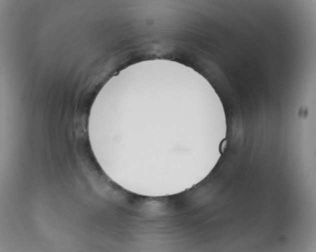 X0000111890236200908201329