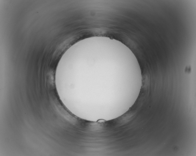 X0000111890238200908201329