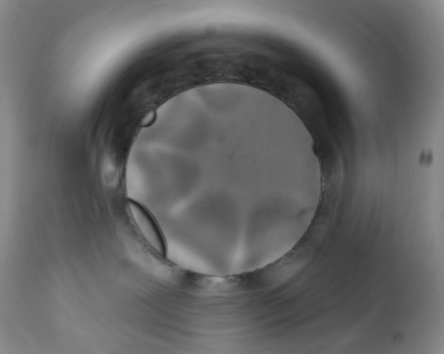 X0000111890239200908201328