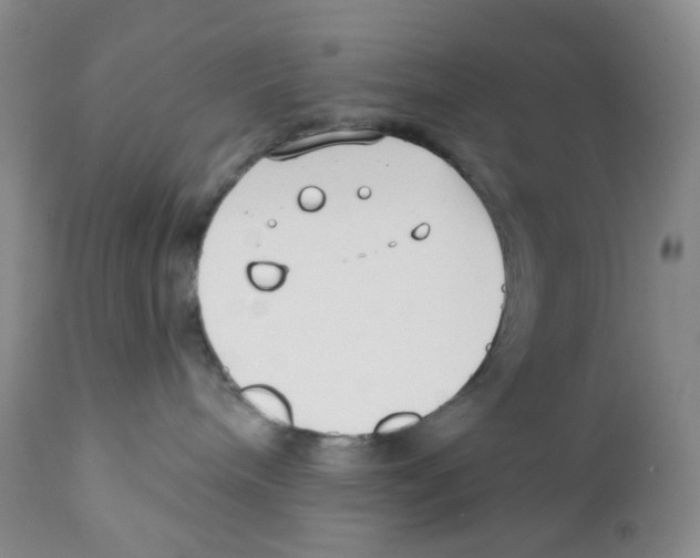 X0000111890240200908201328