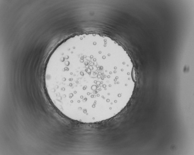 X0000111890241200908201327