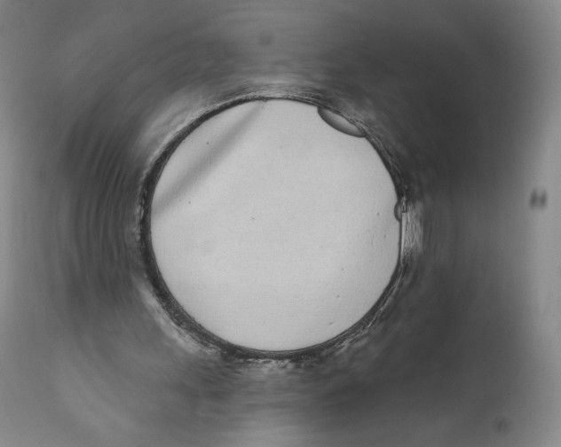 X0000111890243200908201328