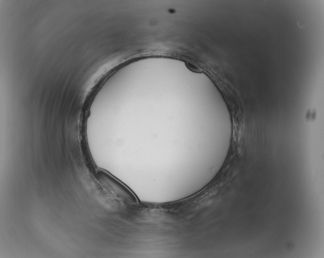 X0000111890244200908201328