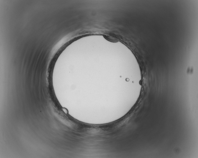 X0000111890246200908201328