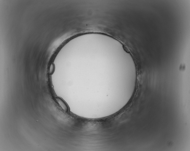 X0000111890248200908201328