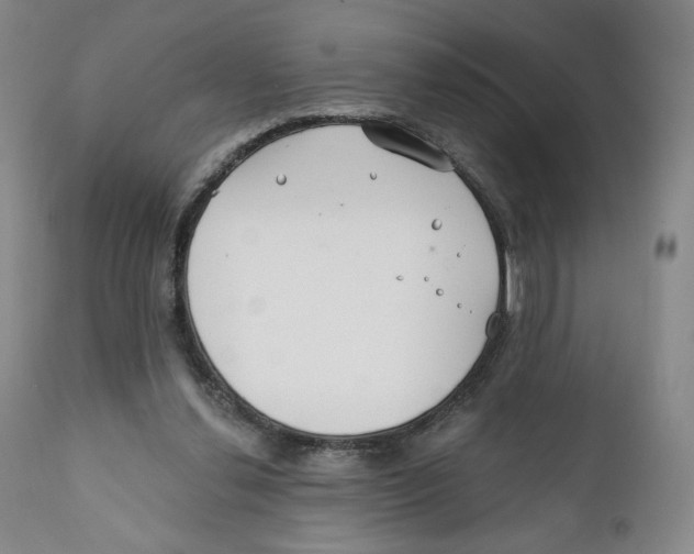 X0000111890252200908201328