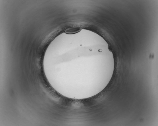 X0000111890258200908201328