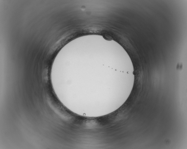 X0000111890262200908201328