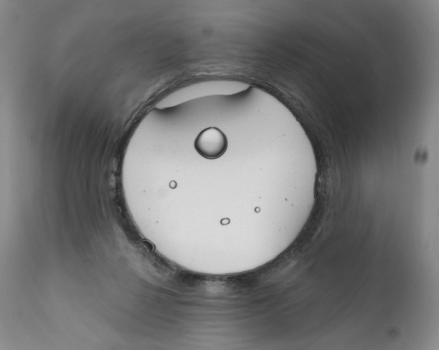 X0000111890264200908201328