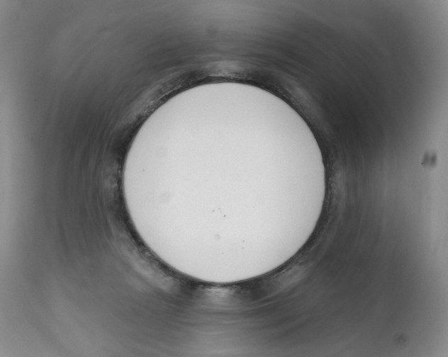 X0000111890265200908201328