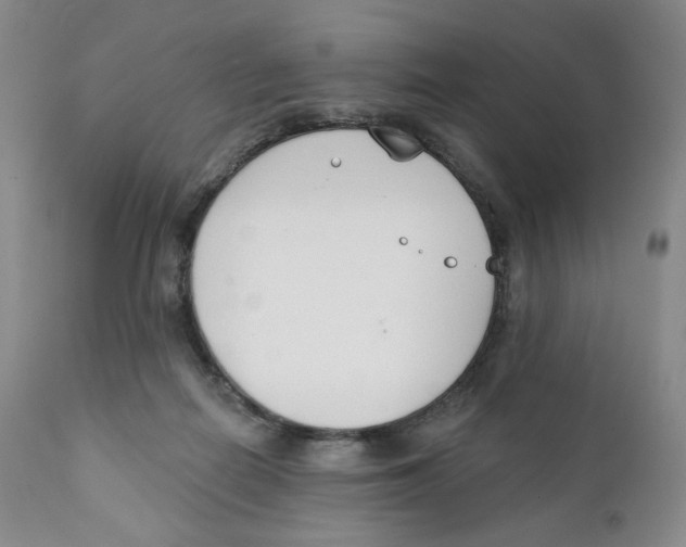 X0000111890266200908201328