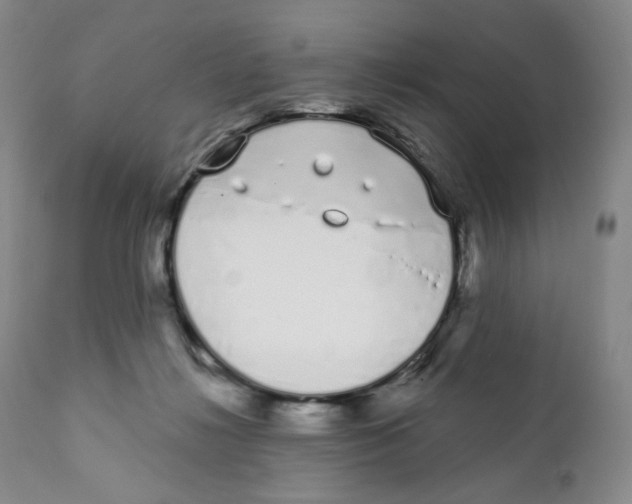 X0000111890268200908201328