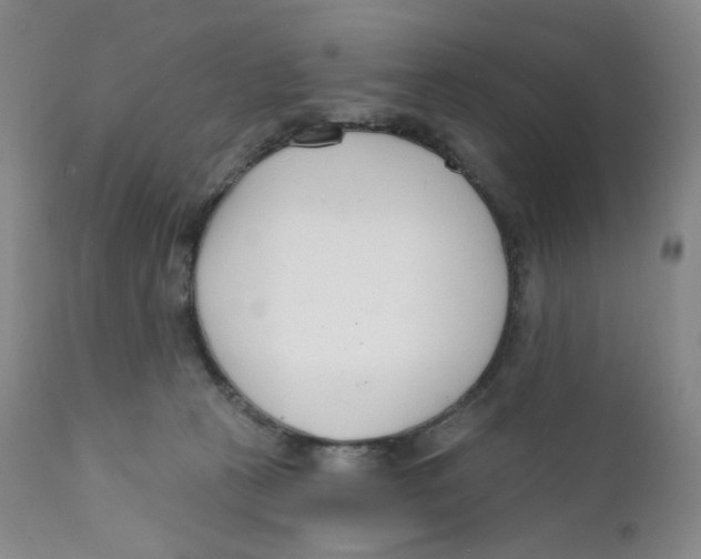 X0000111890273200908201328