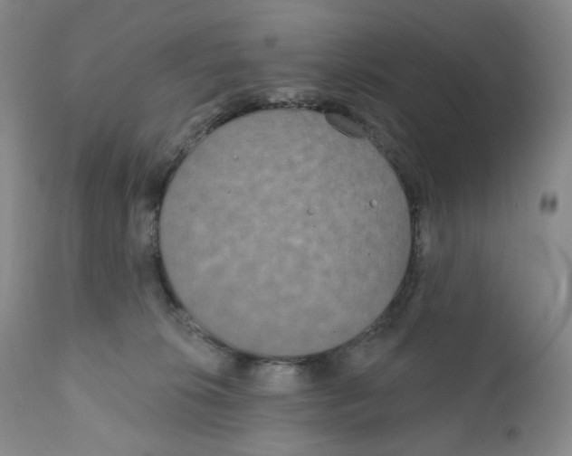 X0000111890276200908201328