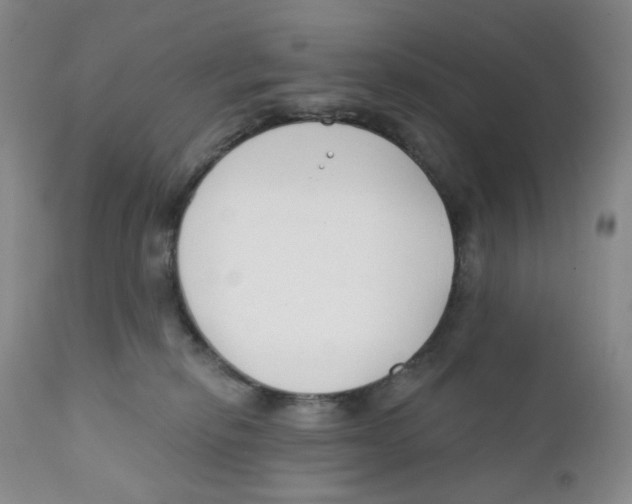 X0000111890278200908201328