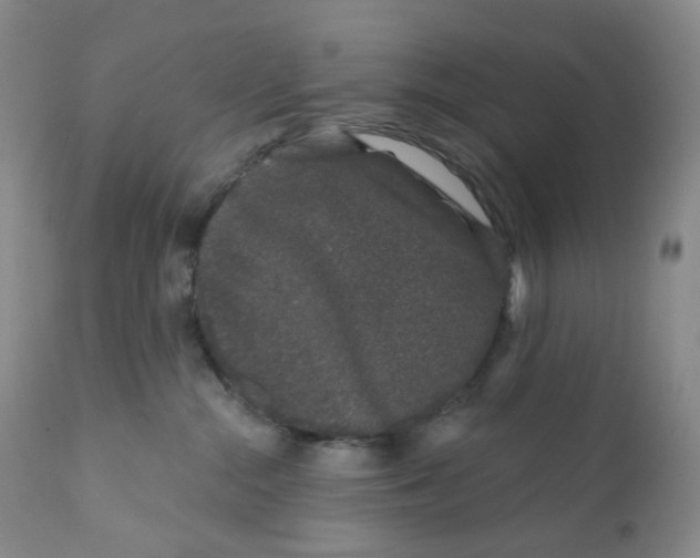 X0000111890284200908201328