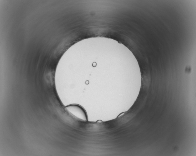 X0000111890286200908201328