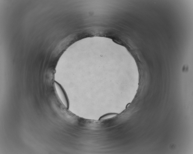 X0000111890288200908201328