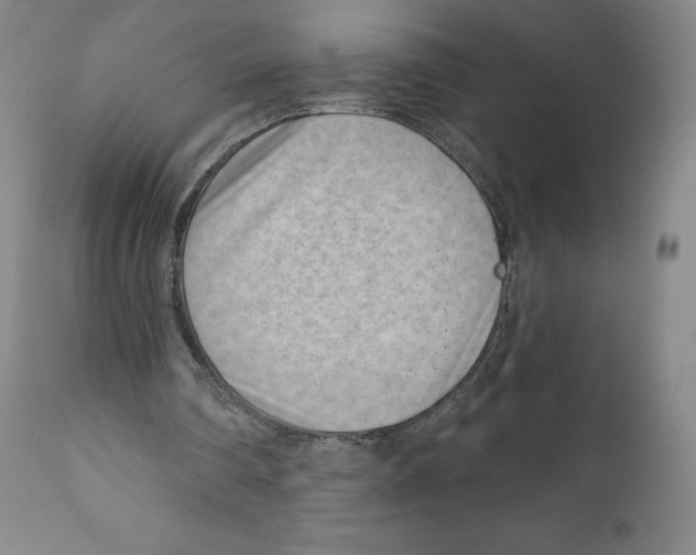 X0000111890290200908201327