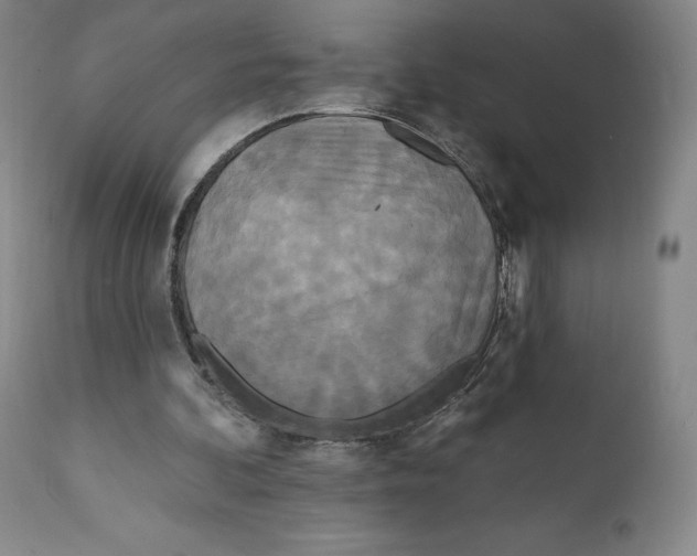 X0000111890292200908201327