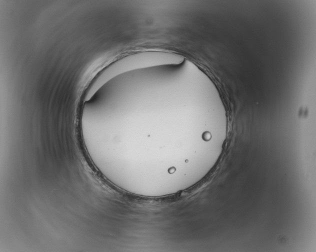 X0000111890293200908201327