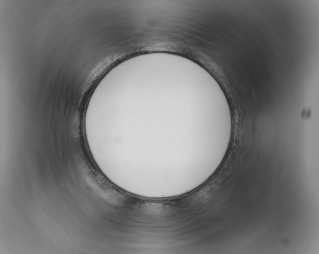 X0000111890298200908201327