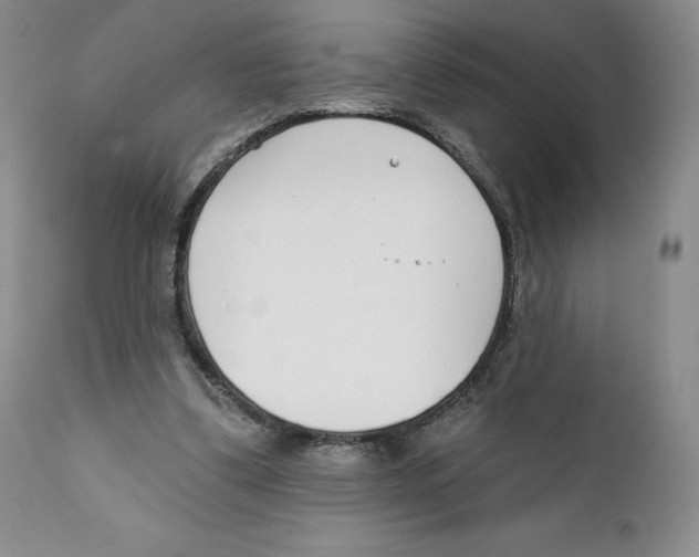 X0000111890299200908201327