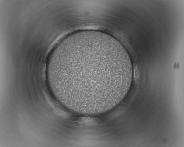 X0000111890300200908201327