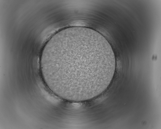 X0000111890302200908201327