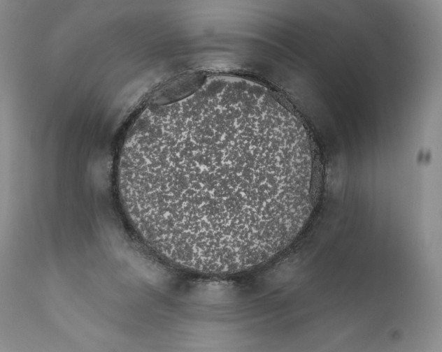 X0000111890304200908201327