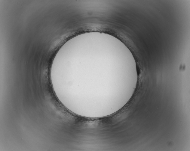 X0000111890306200908201327