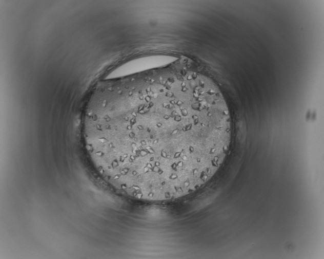 X0000111890308200908201327