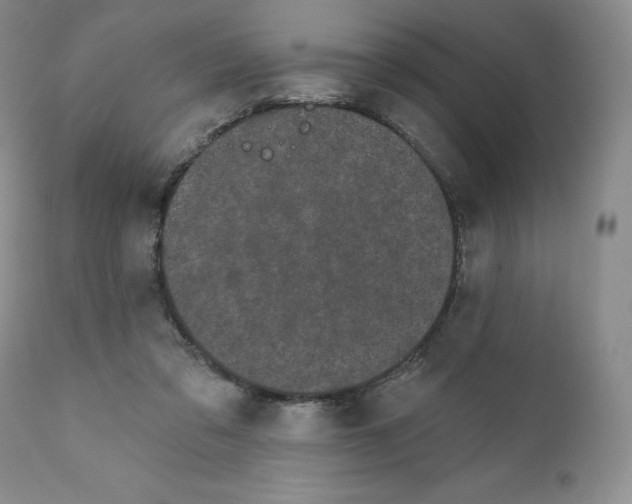 X0000111890309200908201327