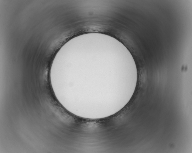 X0000111890310200908201327