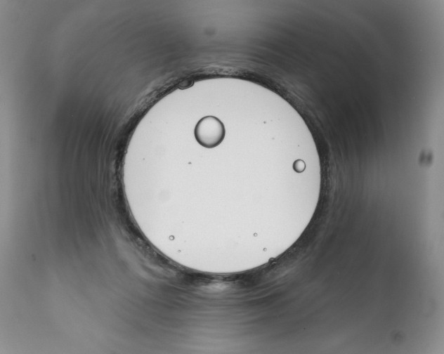 X0000111890312200908201327