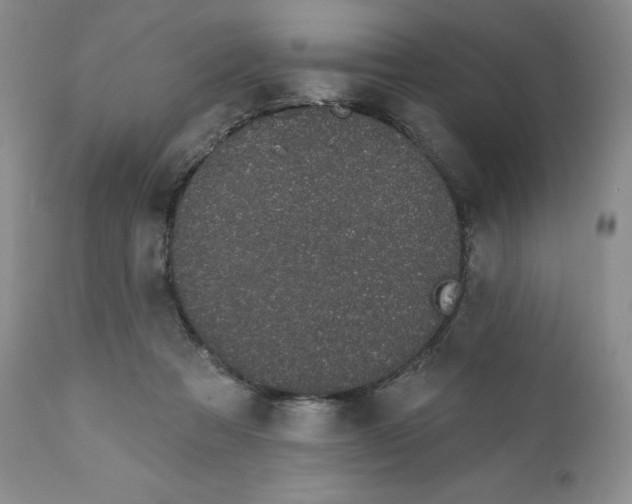 X0000111890313200908201327