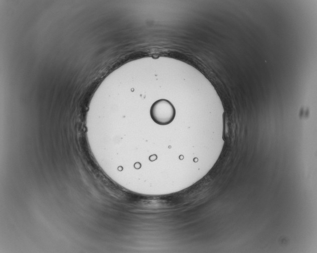 X0000111890316200908201327