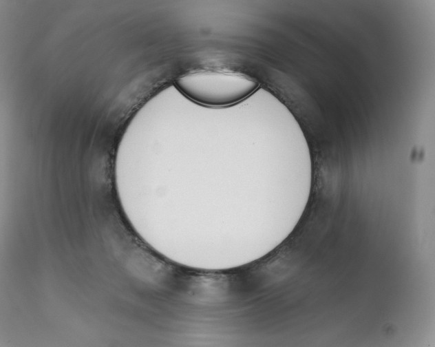 X0000111890317200908201327